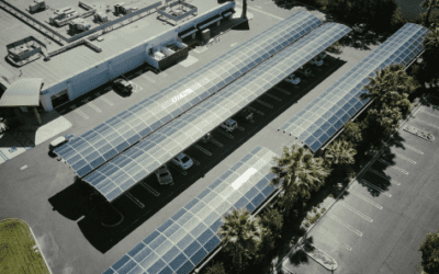 Cleaning Solar Panels: Why, When, and How You Should Do It